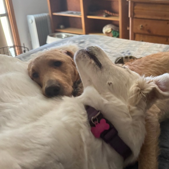 Meet your Posher, Clare - Picture 7 of 12